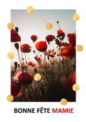 Champs de coquelicots pour ma mamie